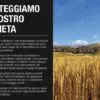 Caffè Proteico - immagine 4