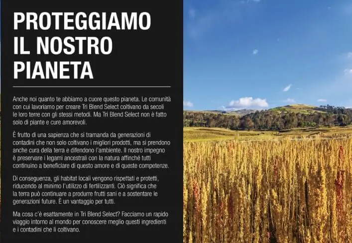 Caffè Proteico - immagine 4